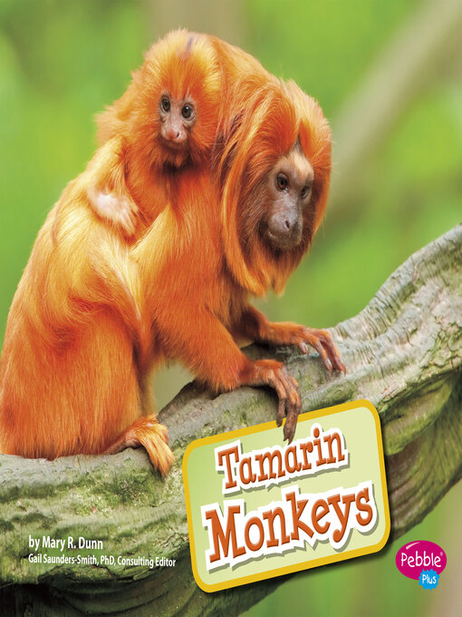 Title details for Tamarin Monkeys by Gail Saunders-Smith - Wait list